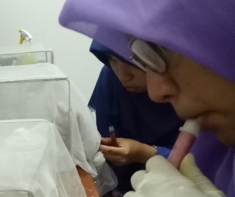 proses_pemisahan_nyamuk_betina_dengan_aspirator_1.jpg
